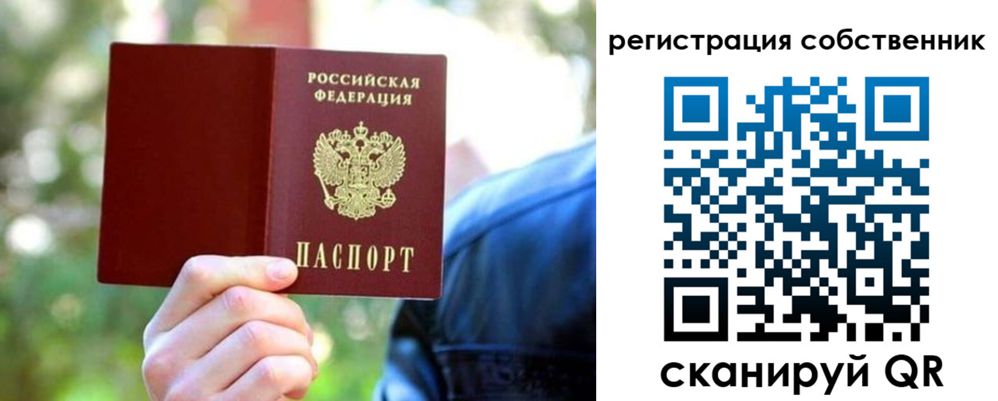 найти адрес прописки в Похвистнево